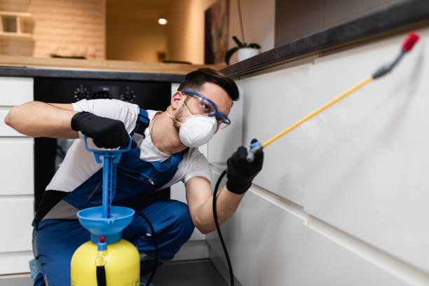 Best Cockroach Control Services  in Stem, NC