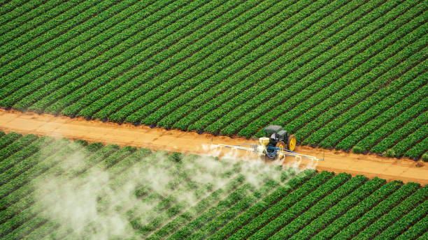 Best Best Pest Control Companies  in Stem, NC